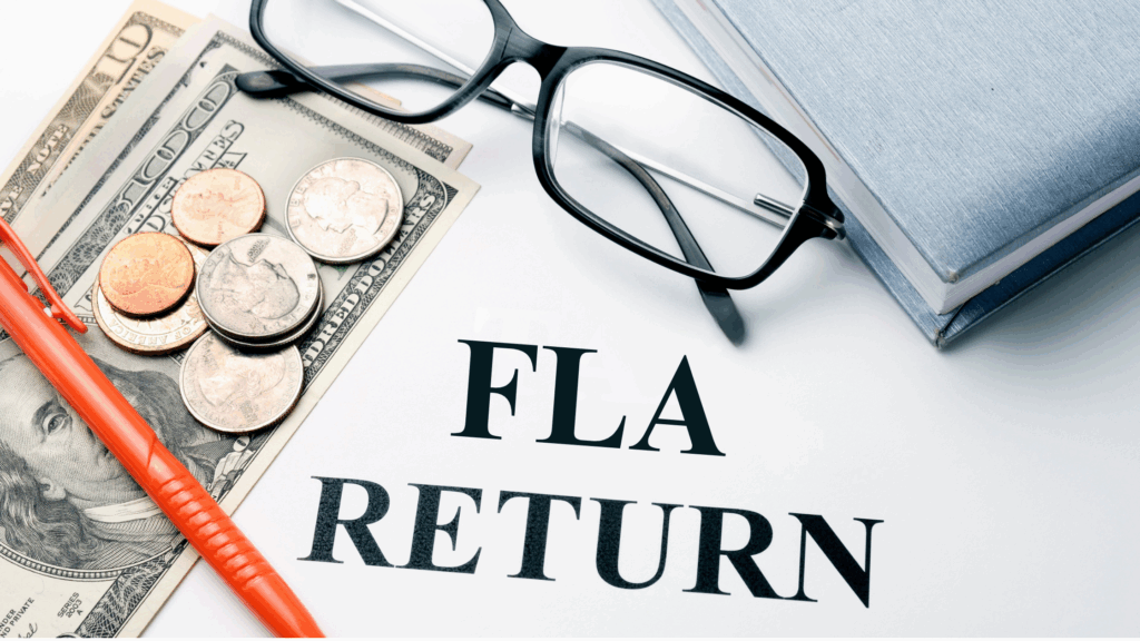 FLA Returns in 2025: Complete Filing Guide for Indian Businesses